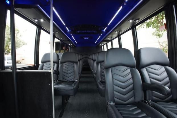 Luxury Mini Bus Interior